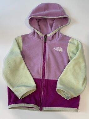 The North Face Colorblock Fleece Hoodie